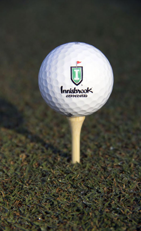 Copperhead golfball on tee Photo