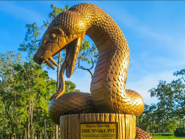 Innisbrook Snake Pit Photo